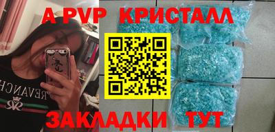 2c-b Кингисепп