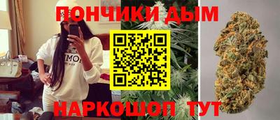 2c-b Кингисепп